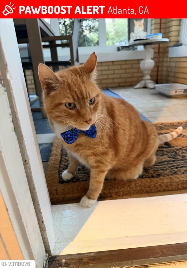 Lost Male Cat last seen Near ponce de leon Avenue, Atlanta, GA 30307
