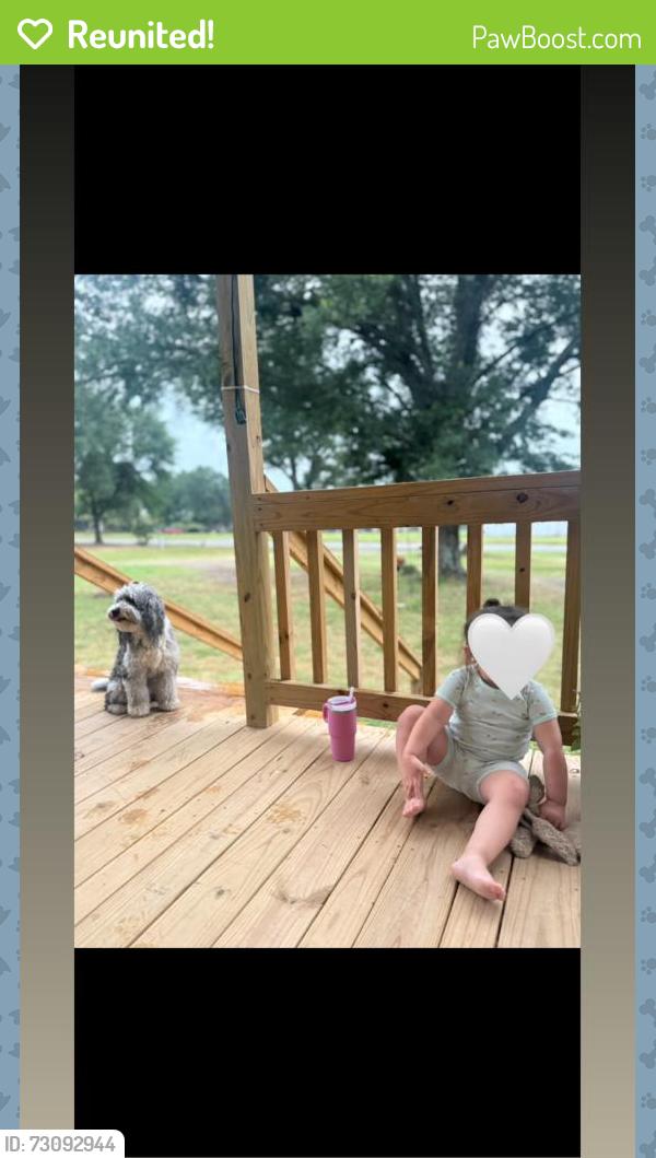 Reunited Female Dog last seen Farm to market 3080 mabank, Tx, Mabank, TX 75147