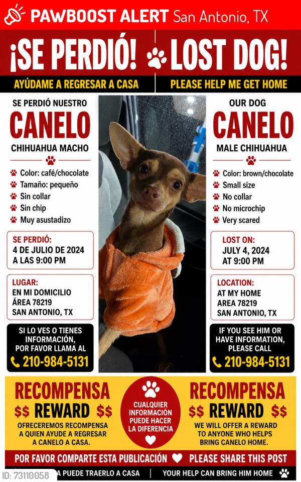 Lost Male Dog last seen Yellow wood king crest, San Antonio, TX 78219