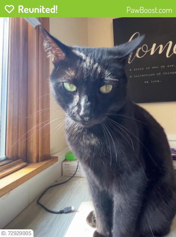 Reunited Male Cat last seen Kenny & Dorothy / Spruce park, White Bear Lake, MN 55110