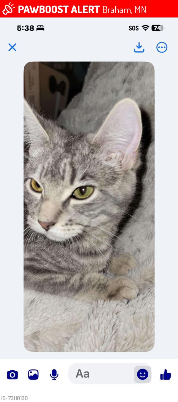Lost Female Cat last seen ECE electric, Braham, MN 55006