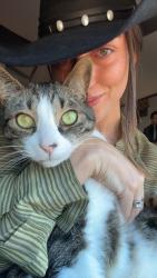 Lost Male Cat last seen Village pkwy, Reno, NV 89508