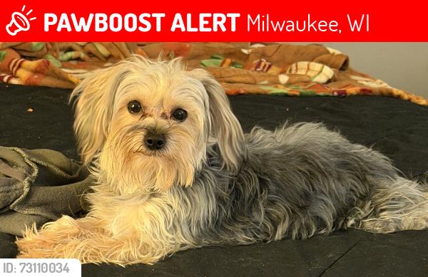 Lost Male Dog last seen 26th and Mitchell St, Milwaukee, WI 53204