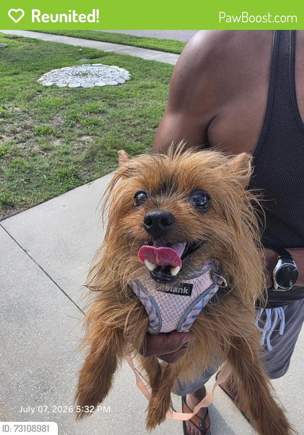 Reunited Female Dog last seen Clear Lake Landings Subdivision, Apopka, FL 32703