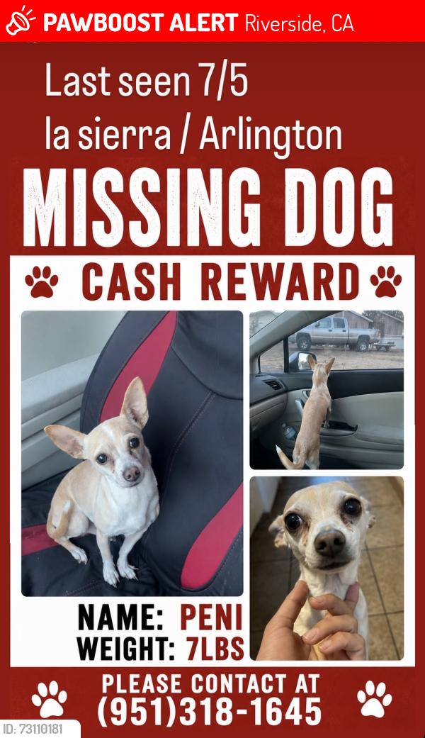 Lost Female Dog last seen Arlington and cypress, Riverside, CA 92505