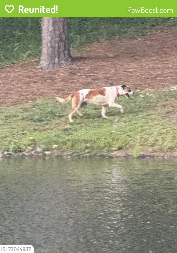 Reunited Unknown Dog last seen Around the pond near 1700 Chickasha Dr. in Pfafftown, Pfafftown, NC 27040