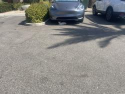 Found/Stray Unknown Cat last seen Murrieta Hot Springs rd, Murrieta, CA 92563
