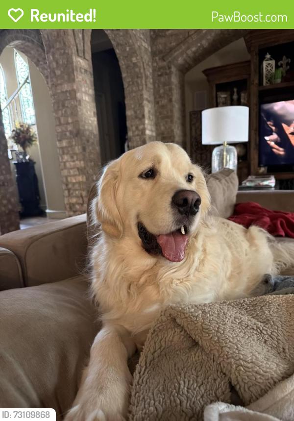 Reunited Male Dog last seen Ranch Laredo, Southlake, TX 76092