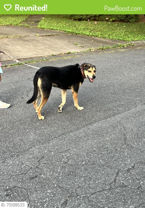 Reunited Female Dog last seen Near Shattalon & Robinhood Rd, Winston-Salem, NC 27106