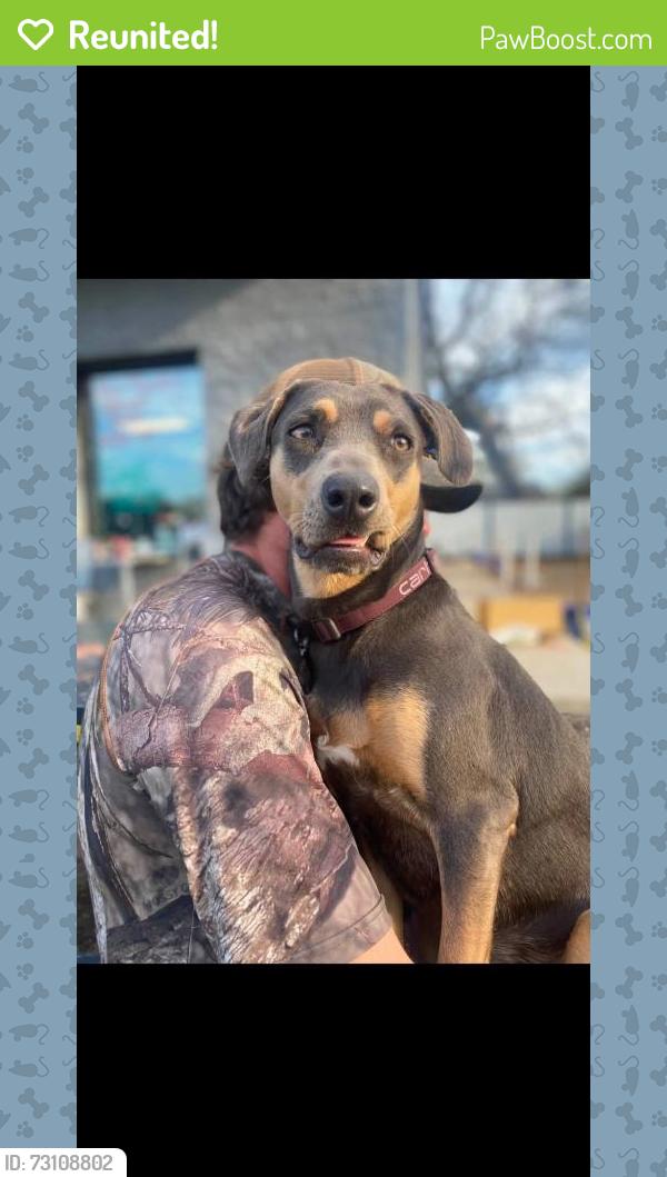 Reunited Female Dog last seen Hwy198 and fm 316, Van Zandt County, TX 75103