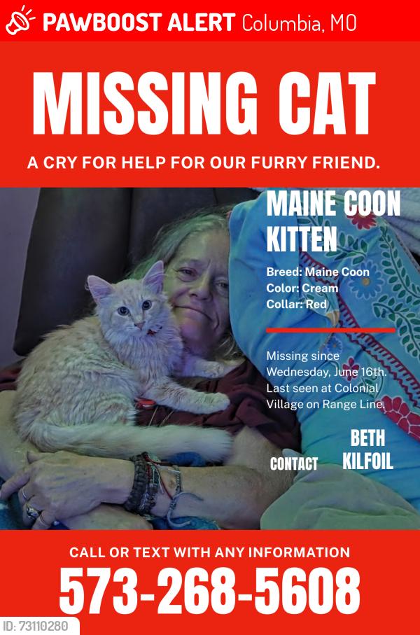Lost Male Cat last seen Blue ridge, Columbia, MO 65202