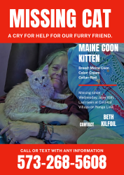Lost Male Cat last seen Blue ridge, Columbia, MO 65202