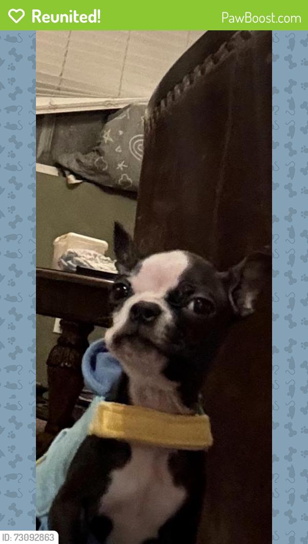 Reunited Female Dog last seen Near N Idyllwild Ave, Rialto, CA 92376, USA, Rialto, CA 92376