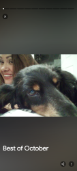 Lost Female Dog last seen Garfield, San Angelo, TX 76901
