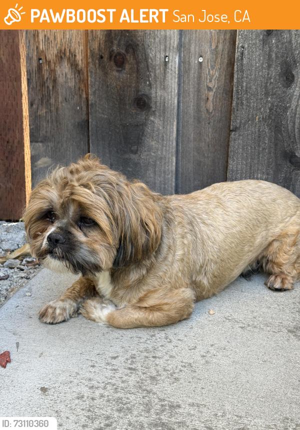 Found/Stray Male Dog last seen Waterford park, San Jose, San Jose, CA 95136