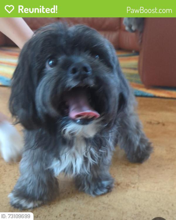 Reunited Male Dog last seen Cherry Hills Dr. & Berry Street, Albuquerque, NM 87111