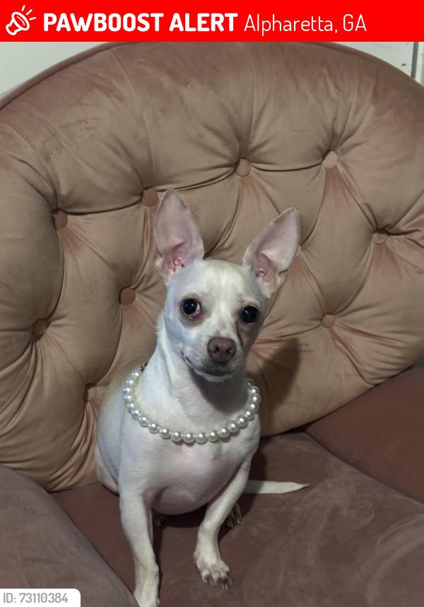 Lost Female Dog last seen Near Ashley lane, Alpharetta, GA 30022