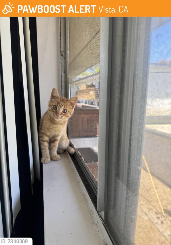 Found/Stray Female Cat last seen E vista Way, Vista, CA 92084