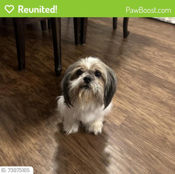 Reunited Unknown Dog last seen Newton Road and Neck Road, Ferris, Texas, Ellis County, TX 75125