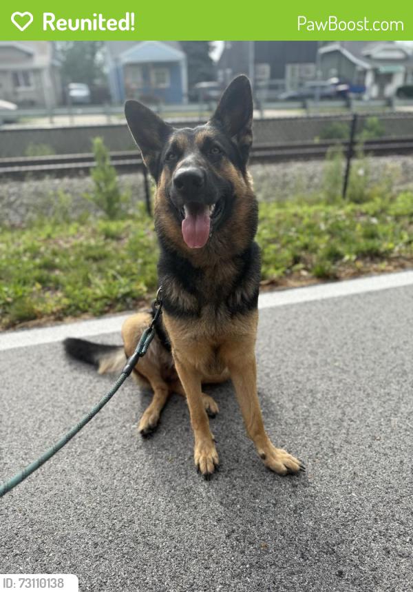 Reunited Female Dog last seen Locust St. and Hohman Ave., Hammond, IN 46324