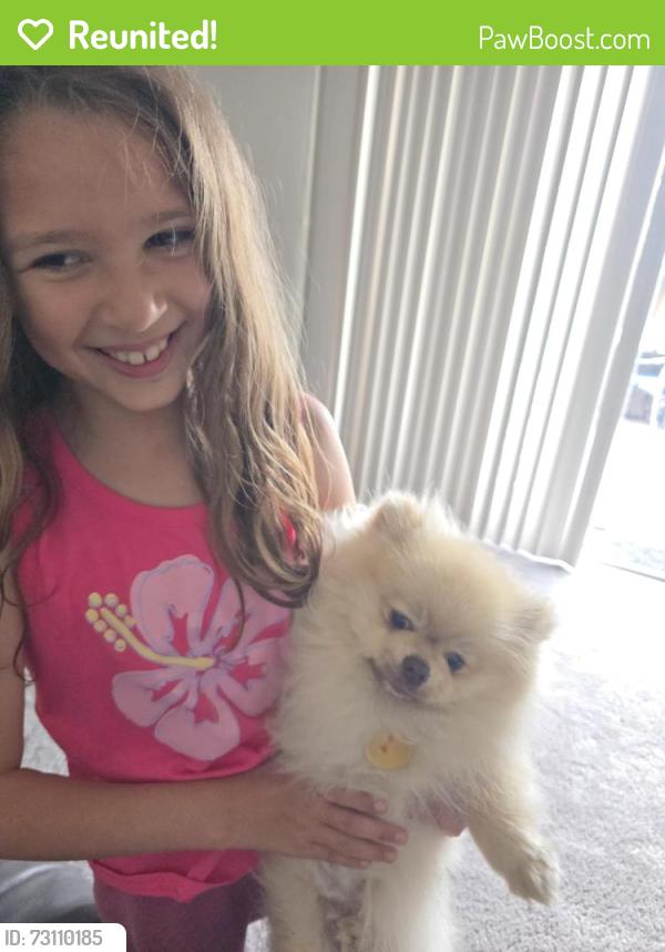 Reunited Male Dog last seen Harvey Park, Fremont, CA 94555