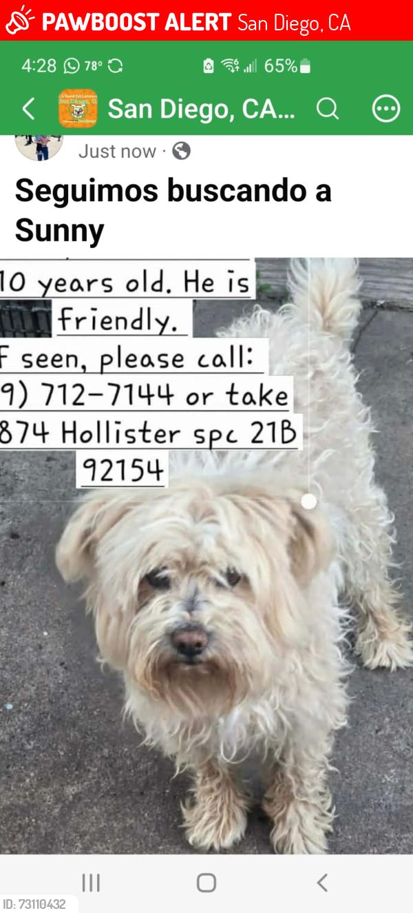 Lost Male Dog last seen Palm st, San Diego, CA 92154