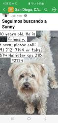 Lost Male Dog last seen Palm st, San Diego, CA 92154