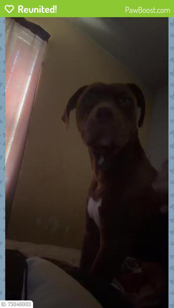 Reunited Male Dog last seen Near S 163rd E Ave, Tulsa, OK 74108, USA, Tulsa, OK 74108