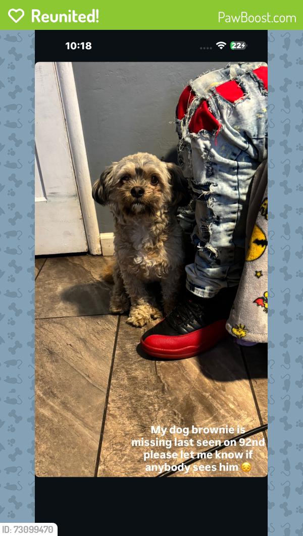 Reunited Male Dog last seen 92nd & D St, Oakland, CA 94621