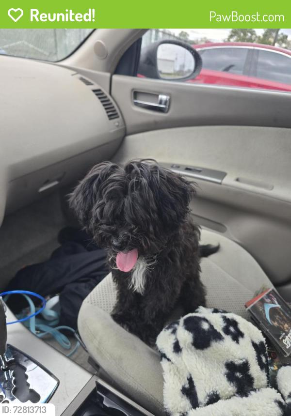 Reunited Male Dog last seen Peppertree ln, Raeford, NC 28376