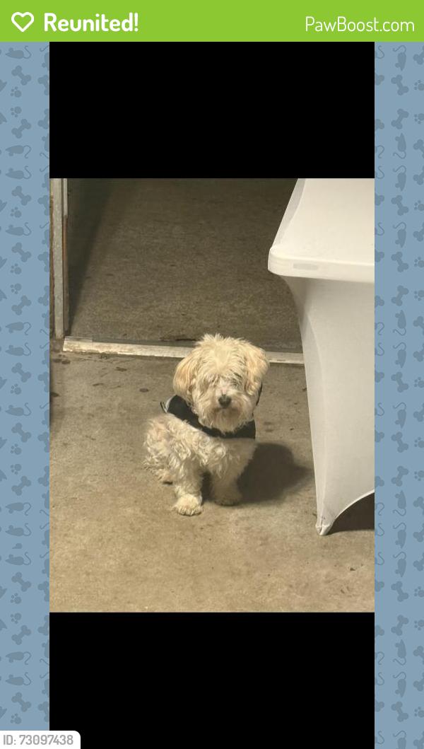 Reunited Male Dog last seen Smart and final, Antioch, CA 94509