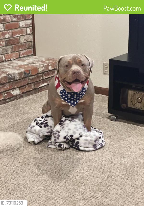 Reunited Male Dog last seen El Centro Rd. & Arena Blvd, Sacramento, Sacramento, CA 95834