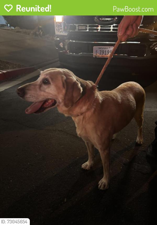 Reunited Female Dog last seen DL Dusty Dickens Elementary School, North Las Vegas, NV 89081