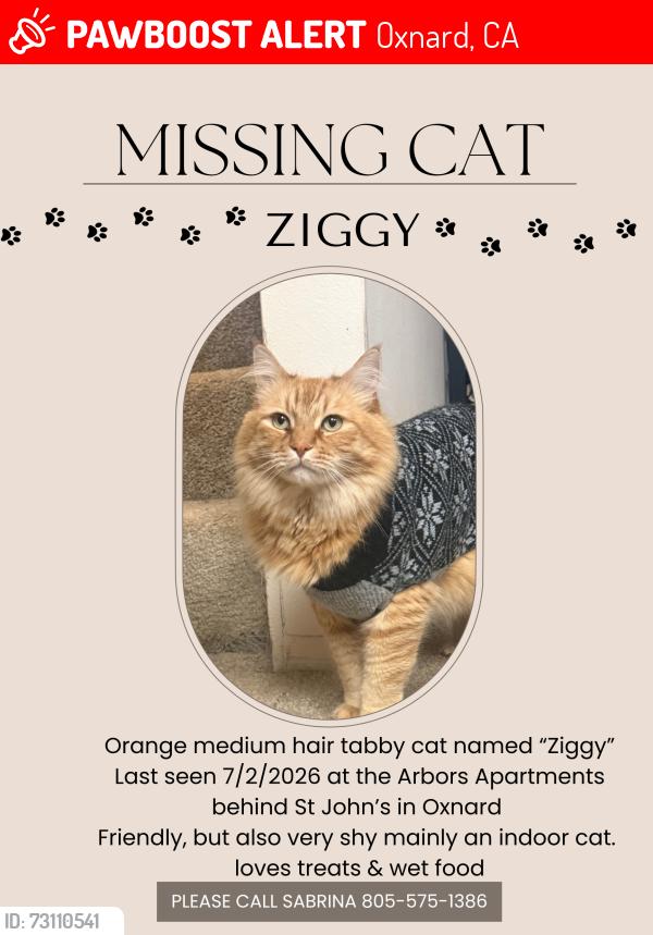 Lost Male Cat last seen Gonzalez, Wankel, Oxnard, CA 93030