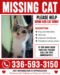 Lost Female Cat last seen Home, Stokes County, NC 27016