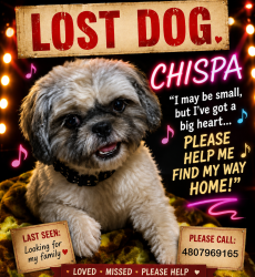 Reunited Female Dog last seen S. Barkley, Mesa, AZ 85204
