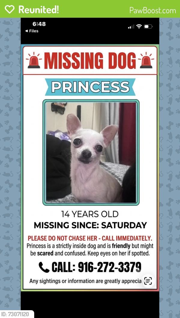 Reunited Female Dog last seen 7th and 9th ave, Sacramento, CA 95817