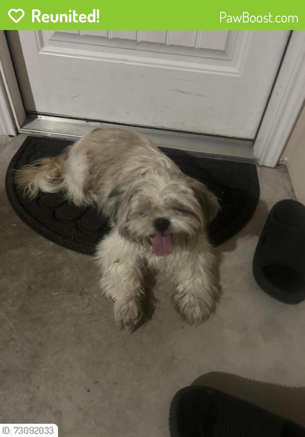 Reunited Female Dog last seen Mac Arthur Park, Converse, TX 78109