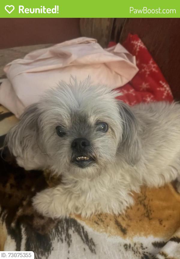 Reunited Male Dog last seen Jet wing and chelton, Colorado Springs, CO 80916