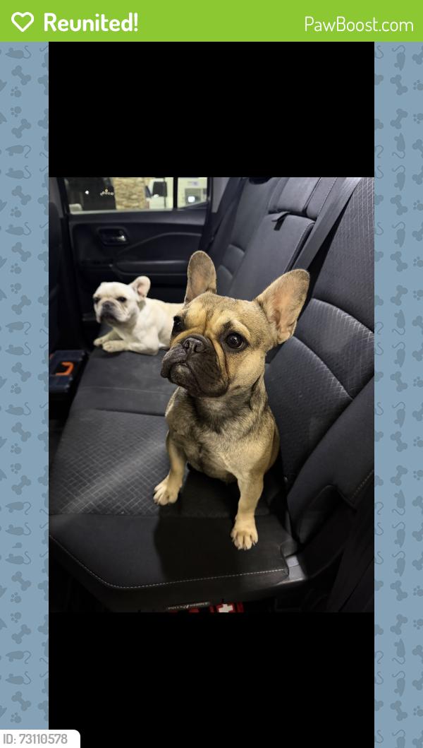 Reunited Unknown Dog last seen Bryce, Tracy, CA 95376