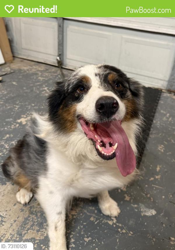 Reunited Male Dog last seen Space center/fairmont, Pasadena, TX 77505