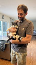 Reunited Male Cat last seen Auburn Rd & Church Hill Rd, Landenberg, PA 19350