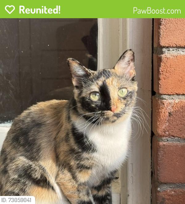 Reunited Female Cat last seen Jane and Finch, North York, ON, Canada, Toronto, ON 