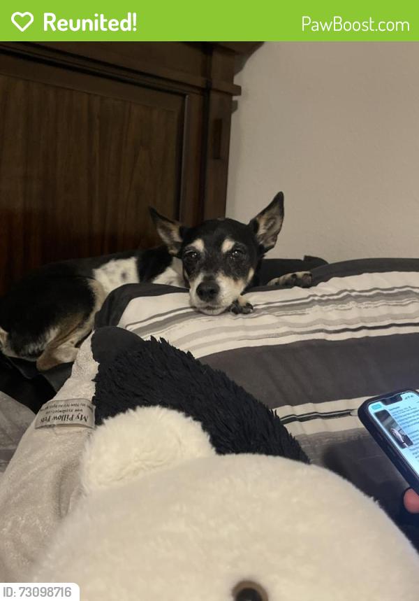 Reunited Male Dog last seen Outside Loma Vista, San Antonio, TX 78233