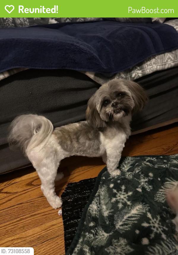 Reunited Female Dog last seen Near NW 96th St, Oklahoma City, OK 73114, USA, Oklahoma City, OK 73114