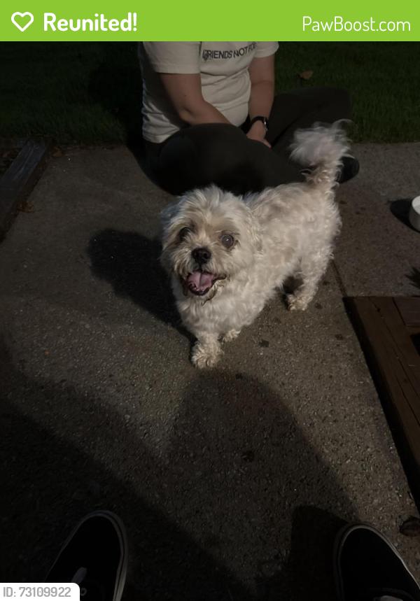 Reunited Male Dog last seen Berkshire manor neighborhood, Alpharetta, GA 30022