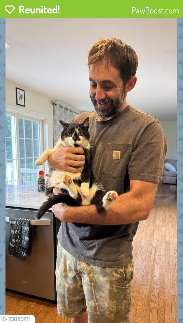 Reunited Male Cat last seen Auburn Rd & Church Hill Rd, Landenberg, PA 19350