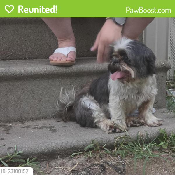 Reunited Unknown Dog last seen Sweet closet lane, Cleveland, TX 77328