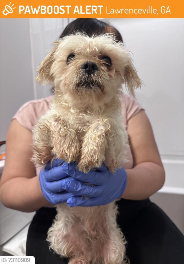 Found/Stray Male Dog last seen Near Cedars Rd SE in Lawrenceville, Lawrenceville, GA 30045