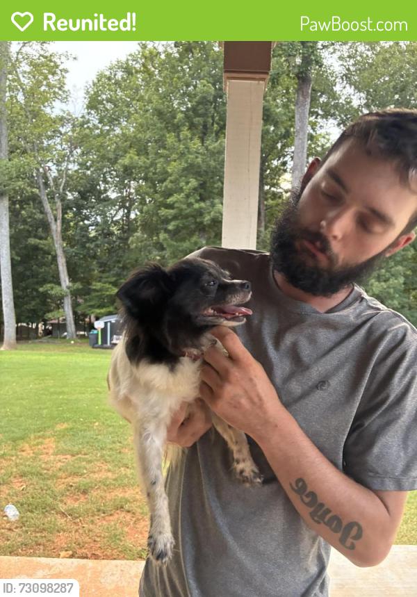 Reunited Female Dog last seen Dawsonville Hwy, Hall County, GA 30506